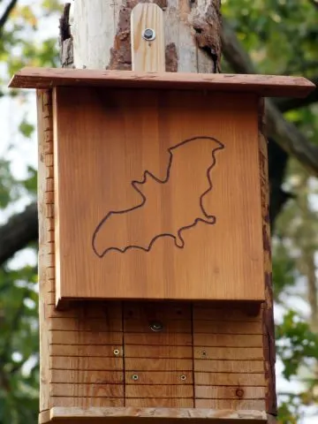 A bat house