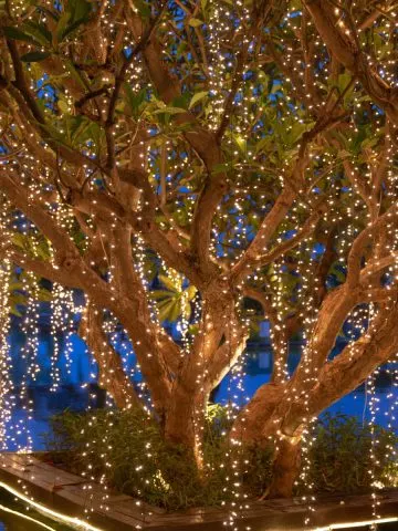 winter lighting