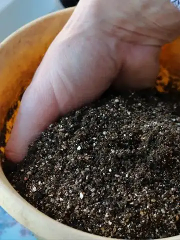 perfect potting soil recipe