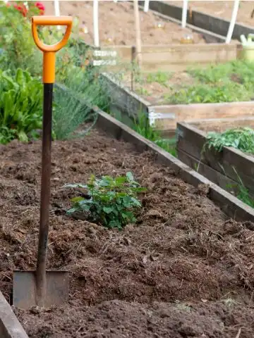 healthy raised bed soil